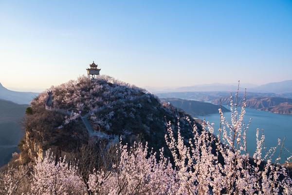 凯丰资本 桃花与诗的故都