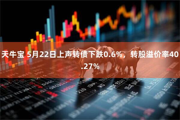 天牛宝 5月22日上声转债下跌0.6%，转股溢价率40.27%