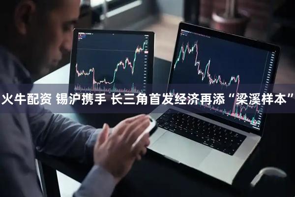 火牛配资 锡沪携手 长三角首发经济再添“梁溪样本”