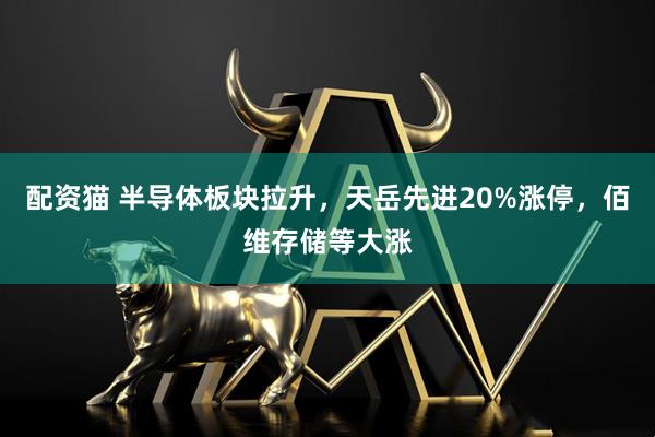 配资猫 半导体板块拉升，天岳先进20%涨停，佰维存储等大涨