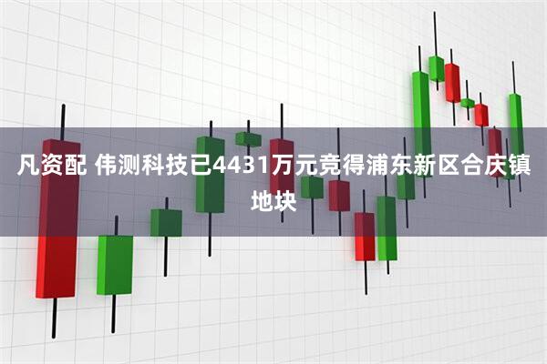 凡资配 伟测科技已4431万元竞得浦东新区合庆镇地块